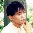 우체국 이팝나무 이미지