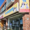 고성작은동물병원 이미지