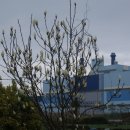 예래동-3 이미지