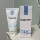 Amimong(아미몽) 이미지