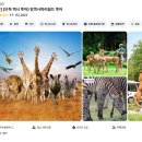 월드투어플랫폼 | 방콕 사파리월드 투어 가격 입장권 후기