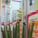 으뜸플러스안경 서울상봉점 이미지