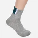 태영스포츠 이미지