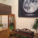 튤립게임랜드 이미지