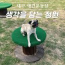 [수성구청] 생각을 담는 정원 | 대구 애견운동장 대구 강아지운동장 무료 놀이터 생각을담는정원 후기