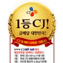 밍데코