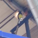 소방정밀점검 이미지