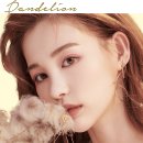 단델리온 이미지