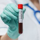 제노스템 이미지