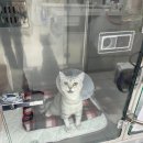 파크동물의료센터 이미지