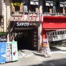 에덴미어캣프랜즈 이미지