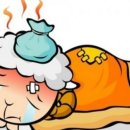 세원소아청소년과의원 이미지