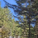 평화목장 이미지