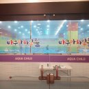 아쿠아차일드 송천 네이버블로그