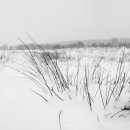 전영택「화수분」 이미지