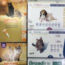 문산축산 이미지