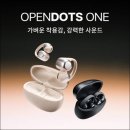 스마트폰 하나면 비서가 필요없다 2탄 | 커널형 귀아픔 끝, 러너들이 갈아탄다는 샥즈 오픈닷 원 E310 후기