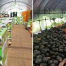 엔에이치(NH)유통 이미지