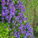 야자수축산 이미지