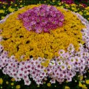 앗~~싸노래방 이미지