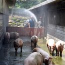 재남농장 이미지