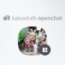 개 이쁘개 이미지