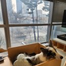 우리 아이 사회성 플러스 이미지