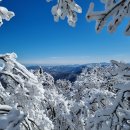 제 504 차: 강원 평창 &#34;발왕산(1,458m)&#34; 눈꽃 산행 (2025. 02. 01.) 이미지