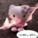 다공 이미지
