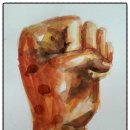 홍선생도시락 이미지