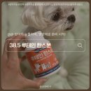 강아지눈물영양제 추천 38.5 루테인 한스푼 급여후기