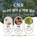 5060 여행영어 이미지