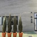 문성로1길 이미지