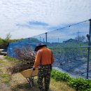 안고랑농장 이미지