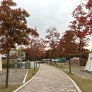 매월주유소 | 연천 한탄강 오토캠핑장 세계캠핑체험존 별빛 야영장 데크 캠핑후기