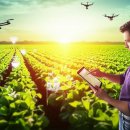 제일스마트영농 이미지