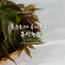 금암농장 네이버블로그