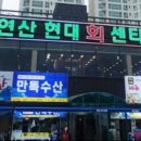 자연산현대회센타