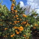 녹산2농장 이미지