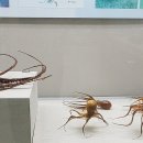 부산해양자연사박물관 이미지