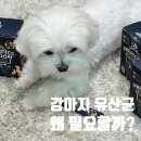 (주)마이크로자임 | 강아지유산균 추천, 면역력 강화엔 닥터페렌들리 맥스바이옴 내돈내산