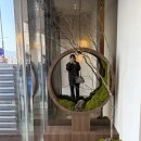 산동초교 | 산동 스시맛집 :: 스시코우 런치세트 후기