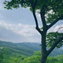윤가네한우마을 | 강원도 하이원리조트 - 2편 ( 알파인코스터 / 고원숲길 트래킹 명상쉼터 / 마천봉 / 윤가네한우마을 )