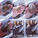 365수산 - 완도군 해변공원로 107 | 365수산
