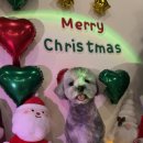 안양유치원 이미지