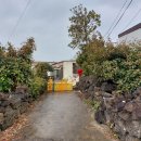 표선리-11 이미지