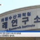 검찰의 자가당착..고래 DNA 검사는 무의미? 이미지