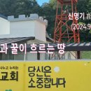 젖과 꿀이 흐르는 땅 (신명기 11:8-12) 2024.9.15 이미지