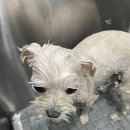 짱아미용실 이미지