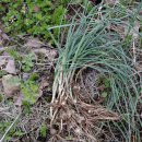 안동2리 이미지